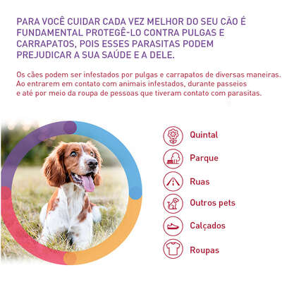 Antipulgas e Carrapatos MSD Bravecto Transdermal para Cães de 10 a 20 Kg