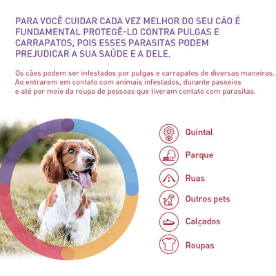 Antipulgas e Carrapatos MSD Bravecto para Cães de 4,5 a 10 Kg