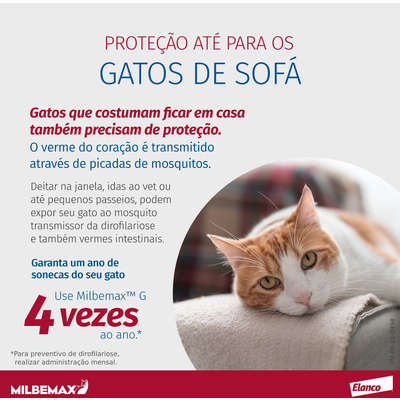 Vermifugo Elanco Milbemax FC para Gatos de 2 Kg a 8 Kg