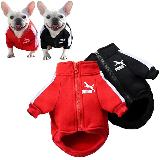 Jaqueta de Inverno Estilo Baseball para Cães – Pequeno e Médio Porte