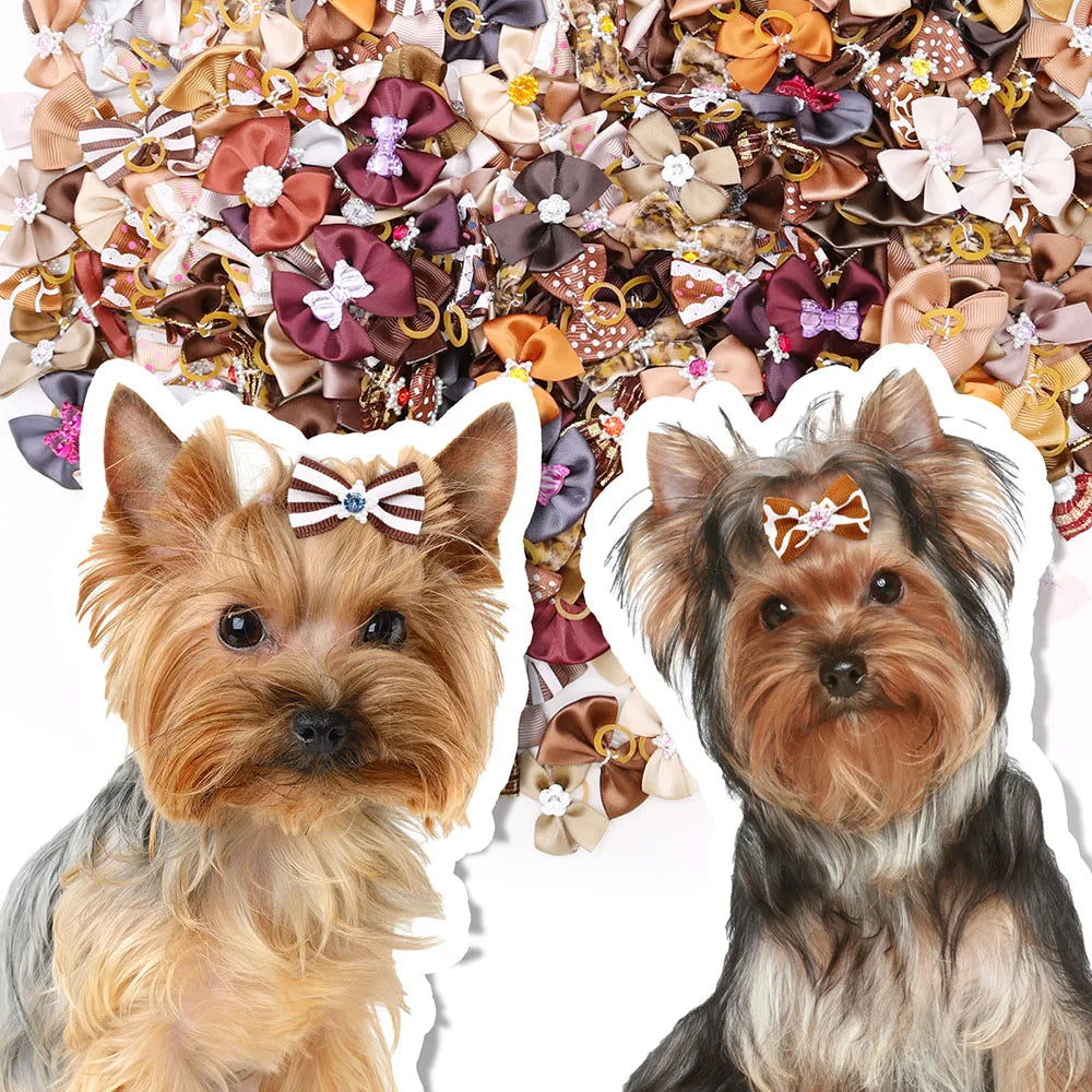 Laços com elástico